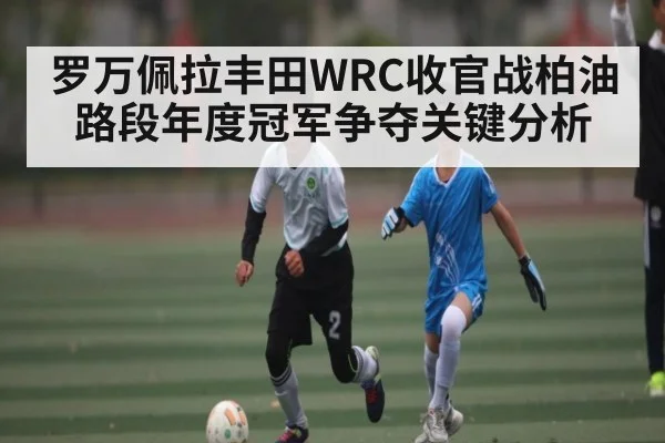 罗万佩拉丰田WRC收官战柏油路段年度冠军争夺关键分析