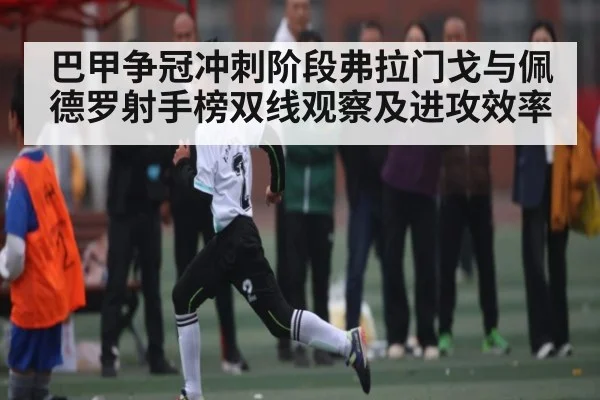 巴甲争冠冲刺阶段弗拉门戈与佩德罗射手榜双线观察及进攻效率